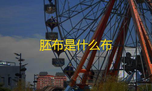 彩虹直装卡密胚布是什么布